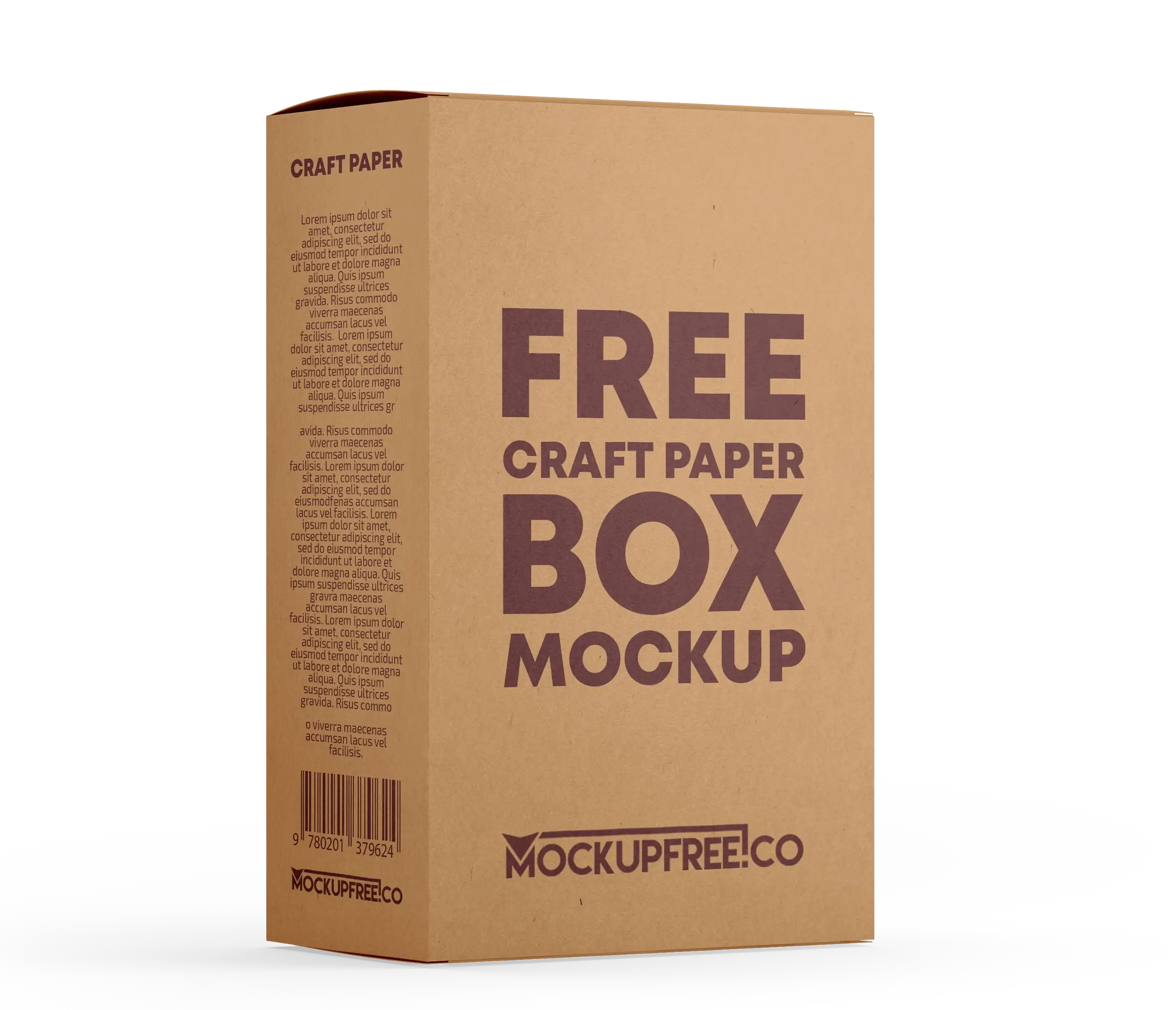 Corrugated Carton Box